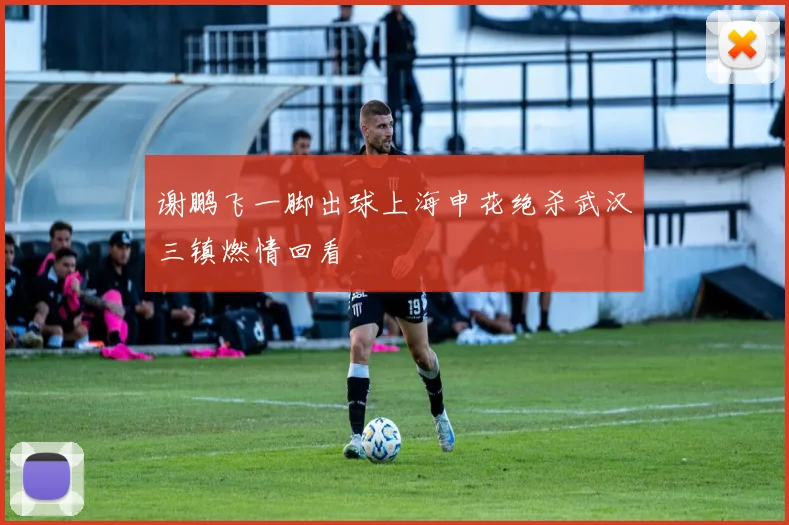 谢鹏飞一脚出球上海申花绝杀武汉三镇燃情回看