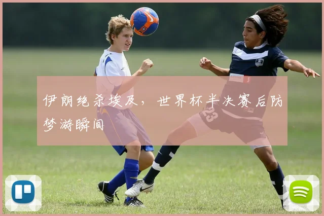 伊朗绝杀埃及,世界杯半决赛后防梦游瞬间