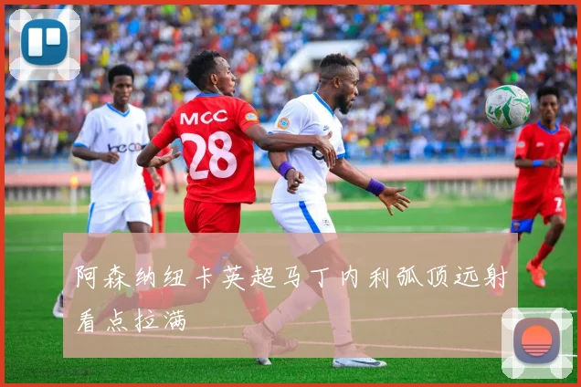 阿森纳纽卡英超马丁内利弧顶远射看点拉满