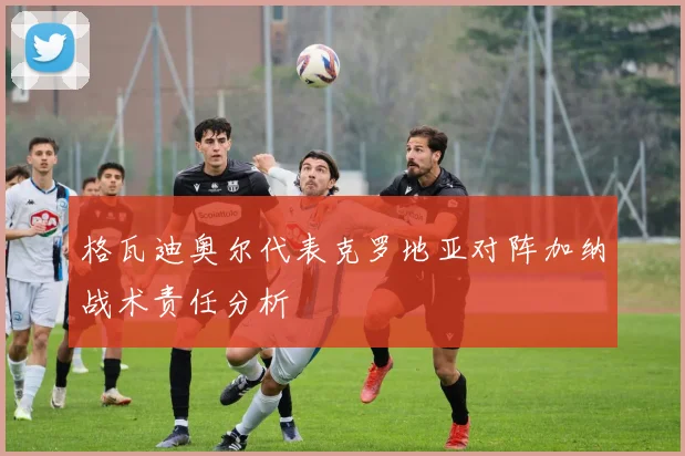 格瓦迪奥尔代表克罗地亚对阵加纳战术责任分析