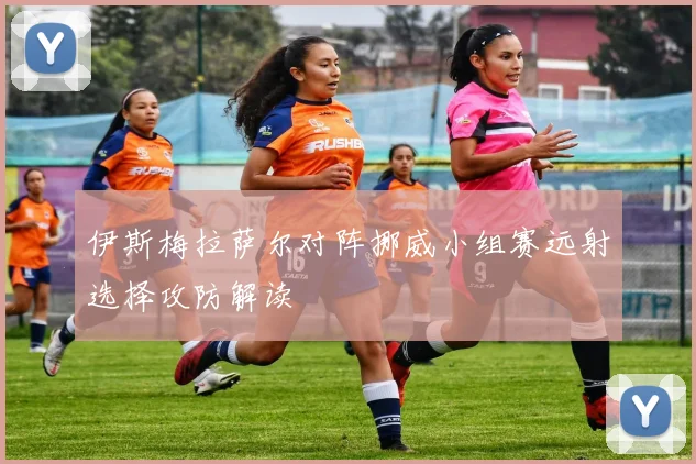 伊斯梅拉萨尔对阵挪威小组赛远射选择攻防解读