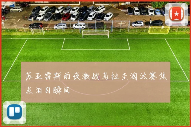苏亚雷斯雨夜激战乌拉圭淘汰赛焦点泪目瞬间