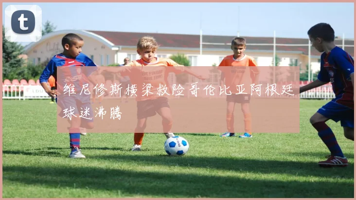 维尼修斯横梁救险哥伦比亚阿根廷球迷沸腾